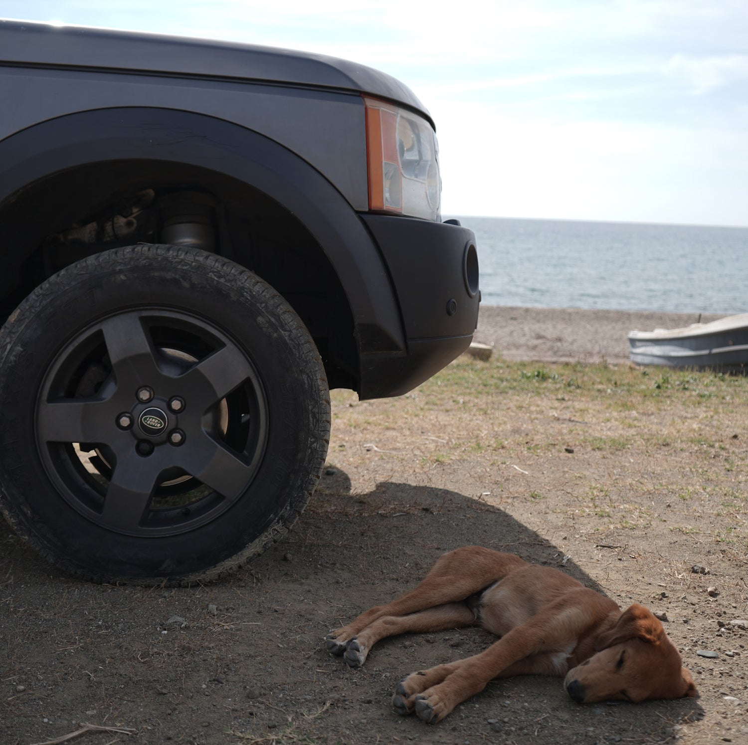 Greek street dog laid on the beach next to a land rover